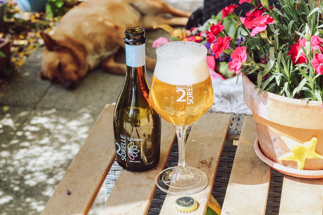Verre de bière artisanale servie à table en contexte gastronomique